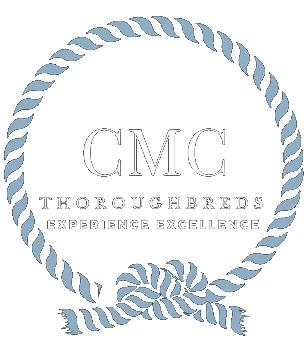 CMC Thoroughbred